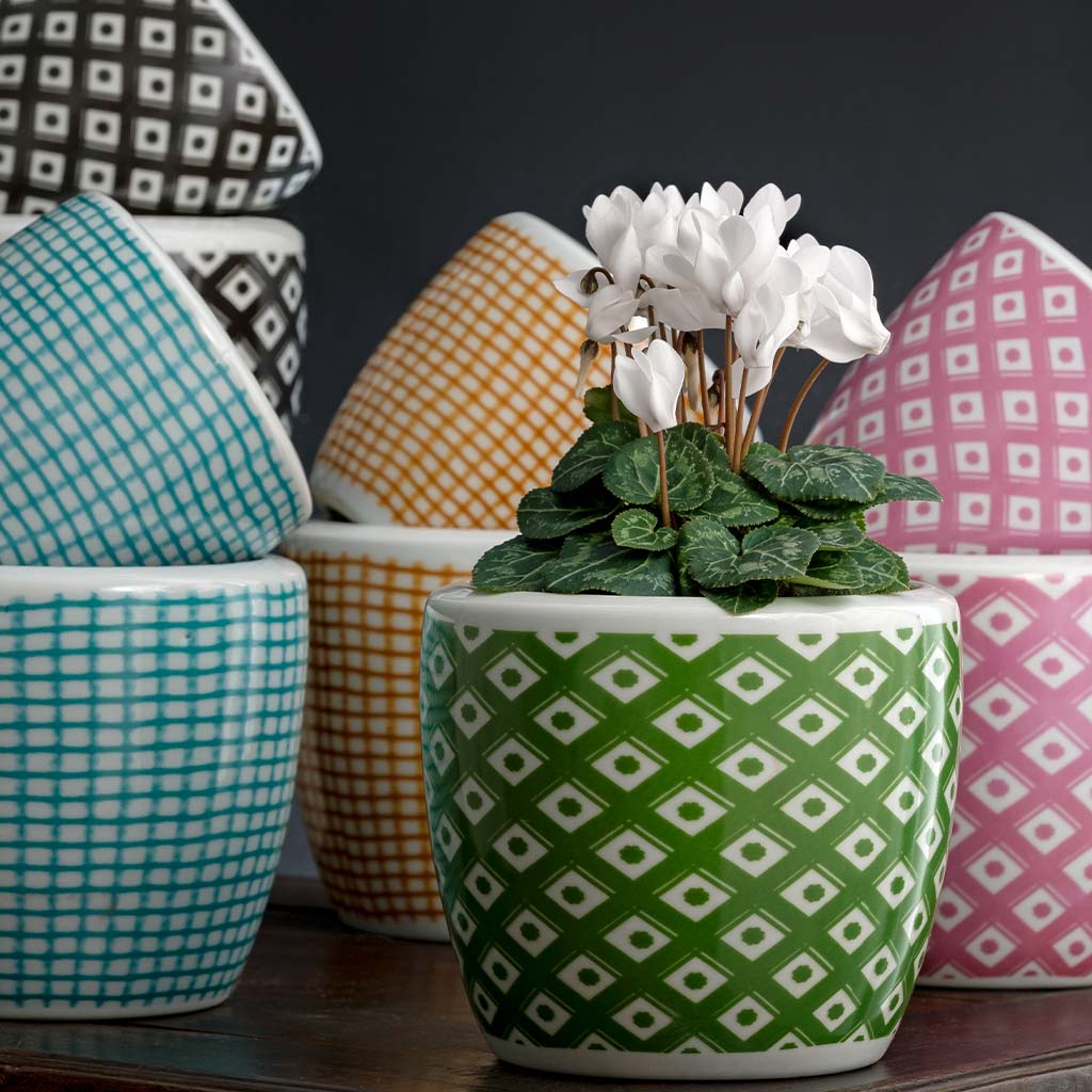 Parquet & Tattersall Planter || Clover & White