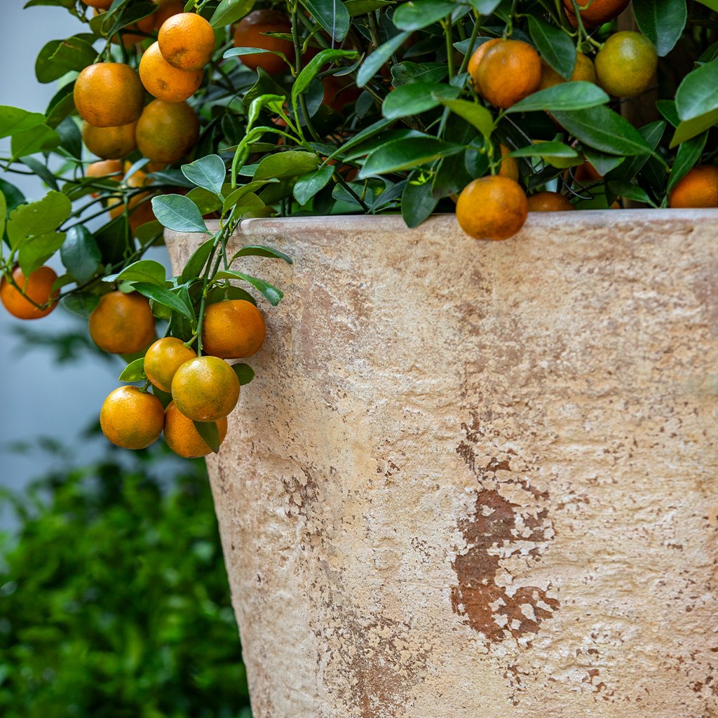 24 planter pots Catena Planter 24" || Antico Terra Cotta