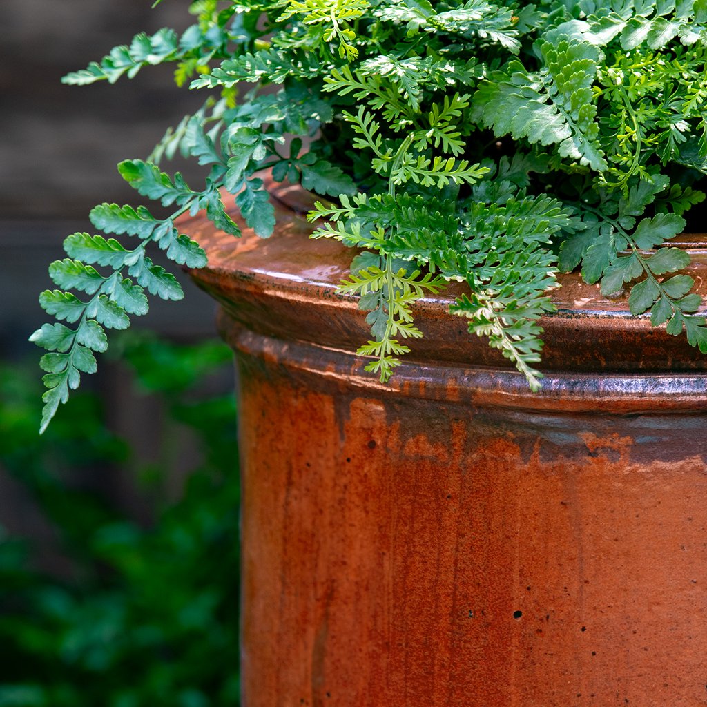 Vaucluse Urn || Brunello | shop-campania
