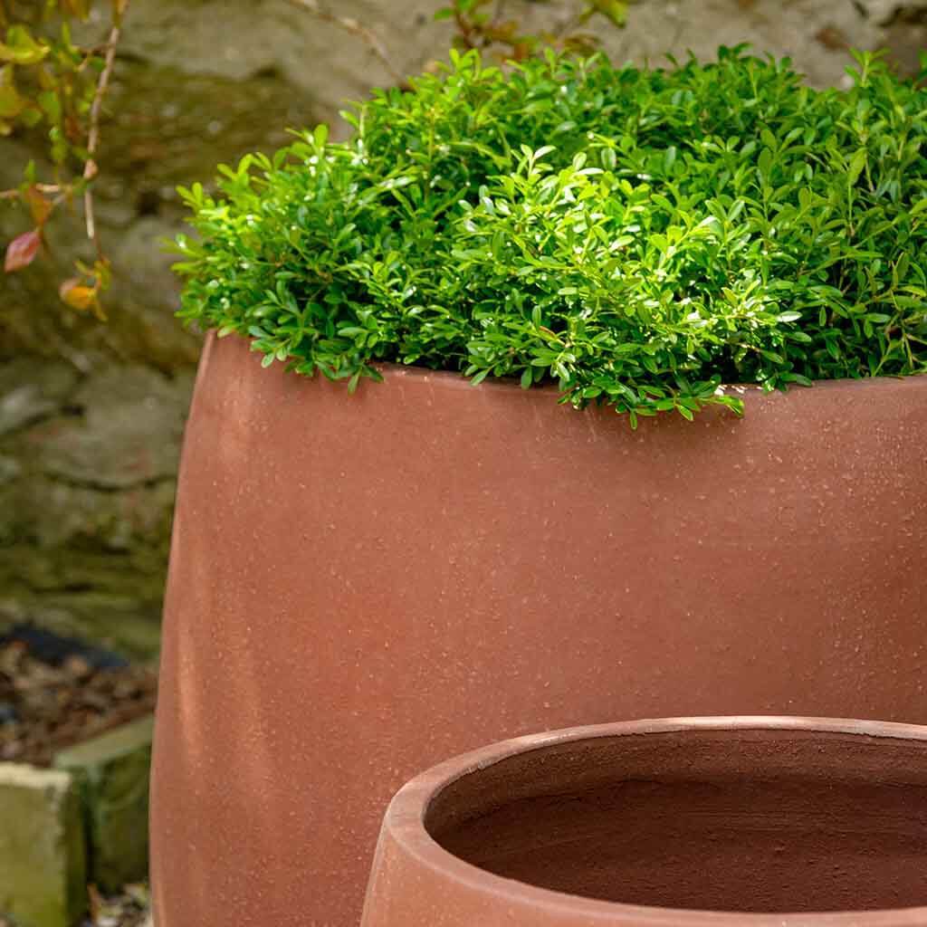 Potrero Planter || Terra Rosa | shop-campania