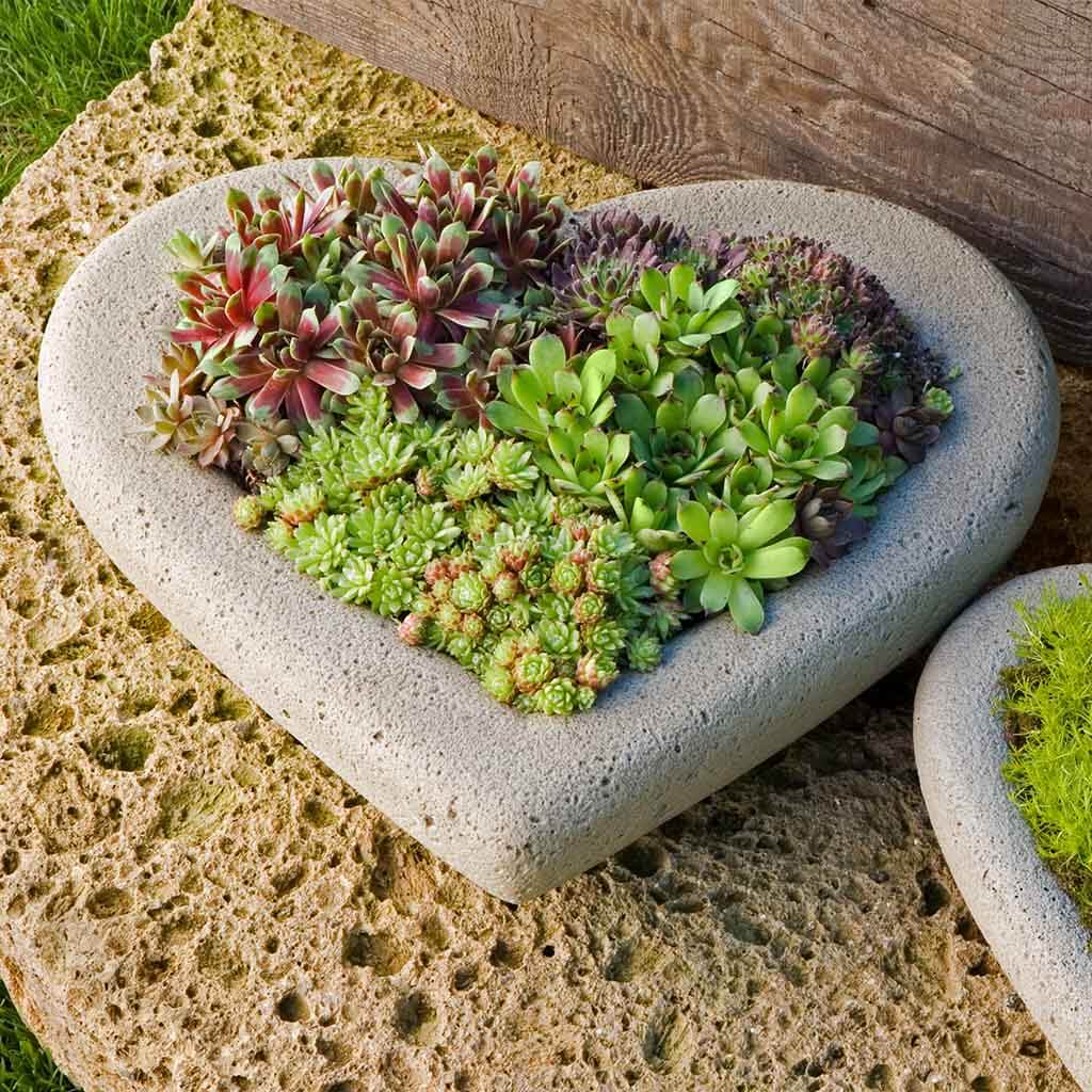 Heart Planter | shop-campania