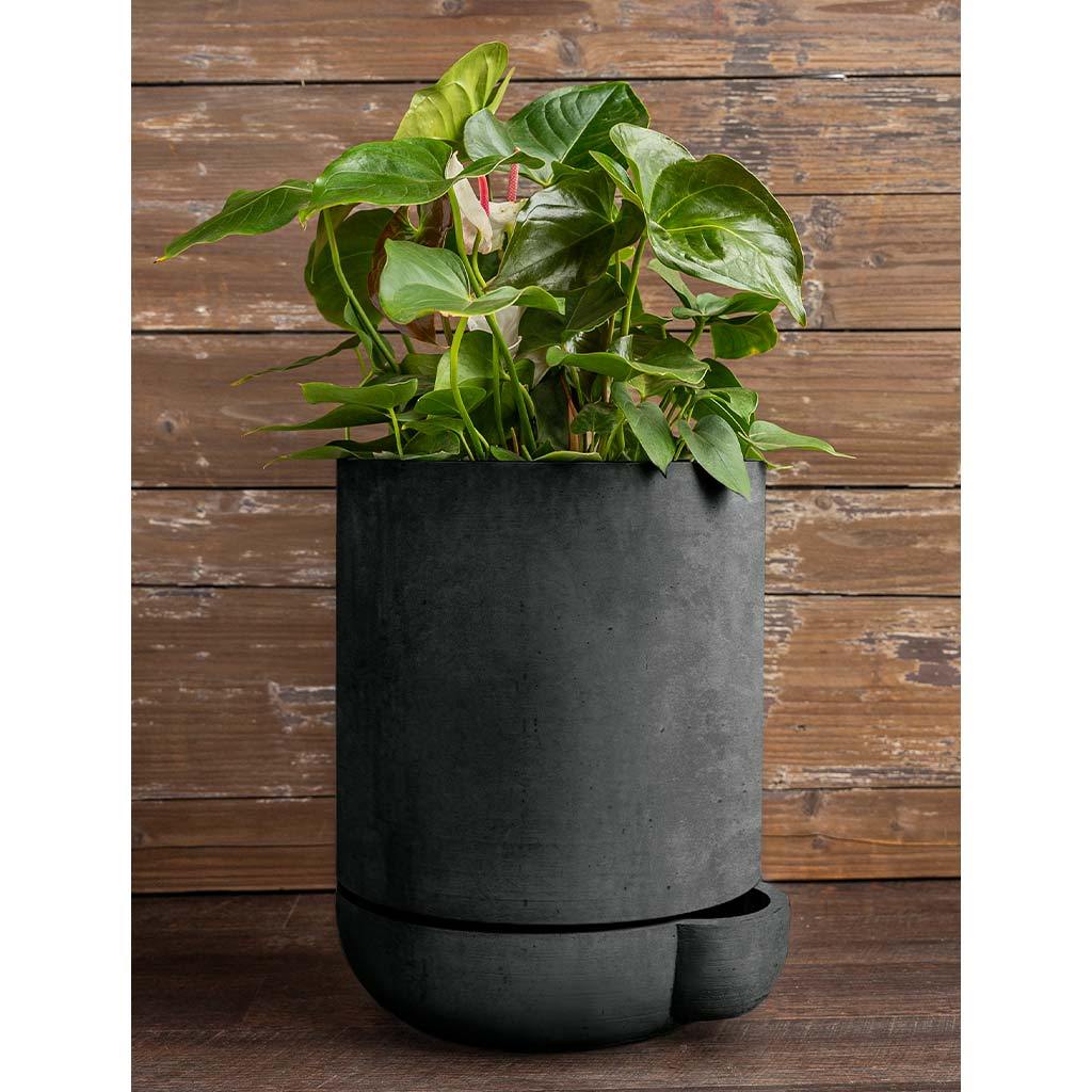 plc-016-the-simple-pot-