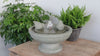 Hydrangea Leaves Garden Terrace Fountain