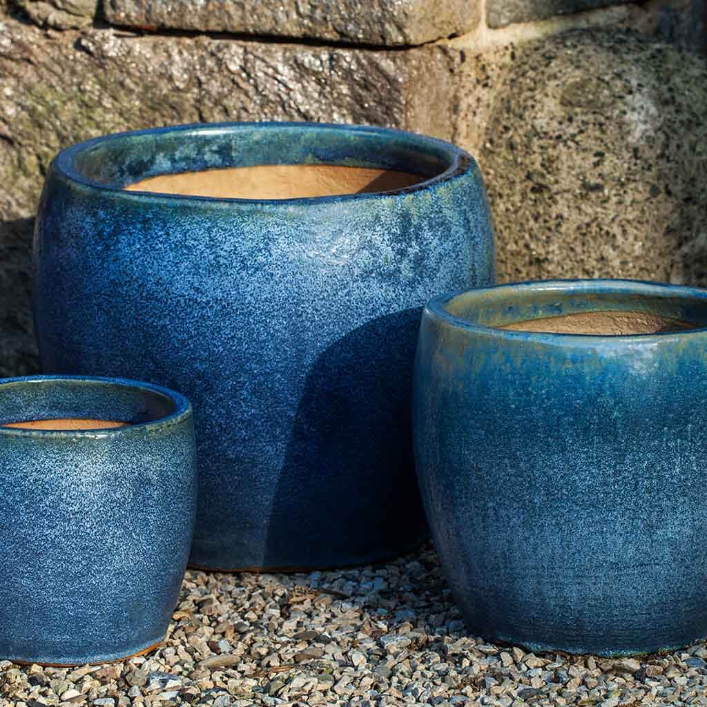 blue pearl potted plant Sara Planter || Blue Pearl