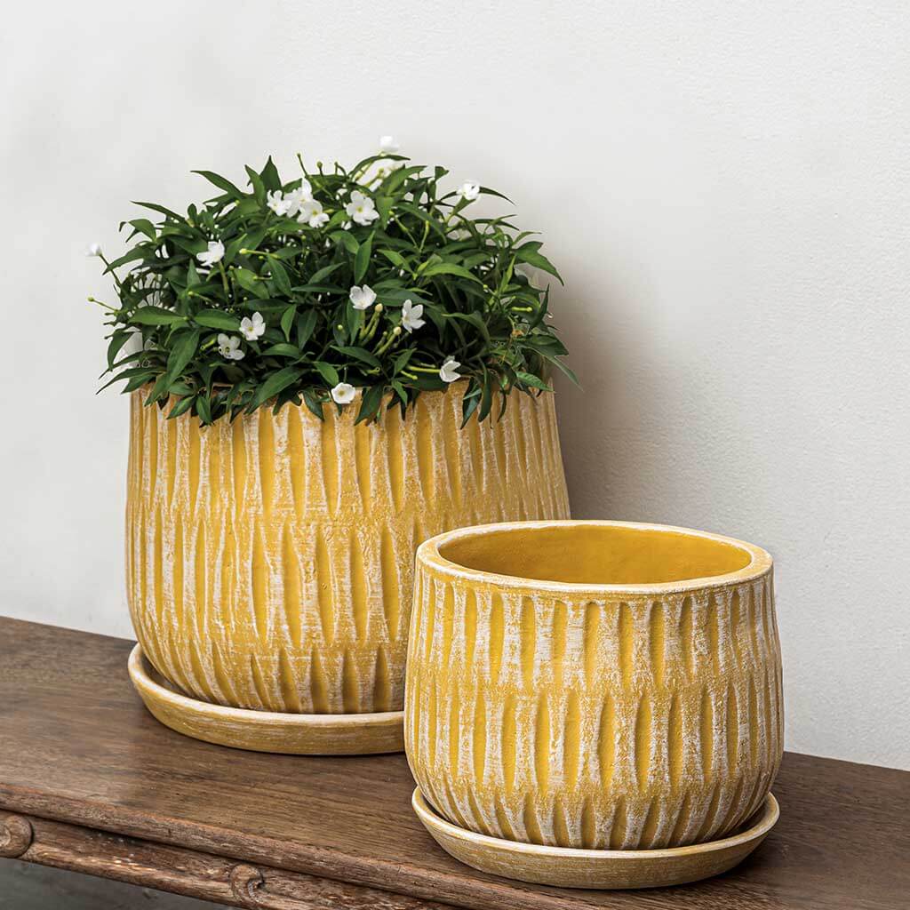 Parabola Large Round Planter || Etched Yellow