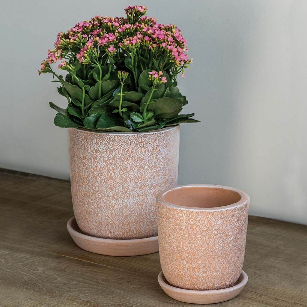 Marguerite Small Round Planter || Shell Pink
