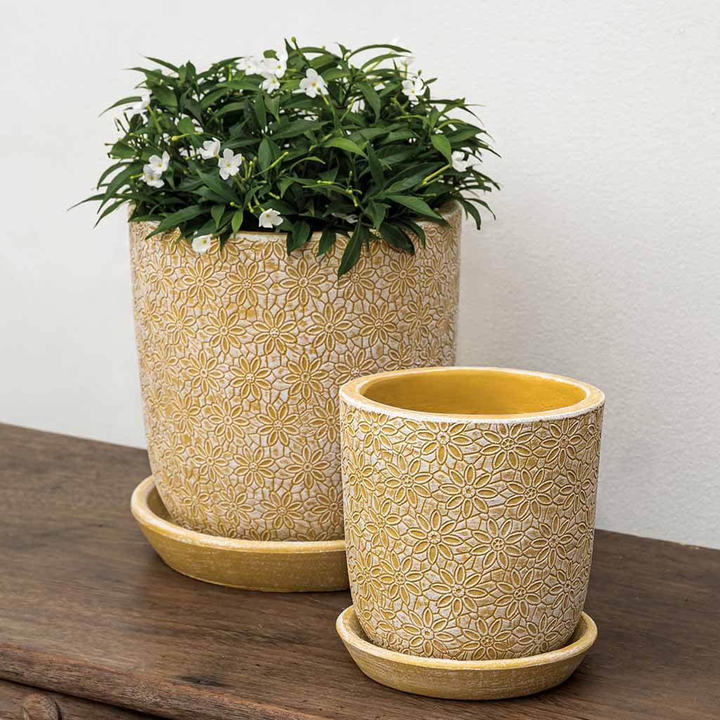 Marguerite Small Round Planter || Etched Yellow