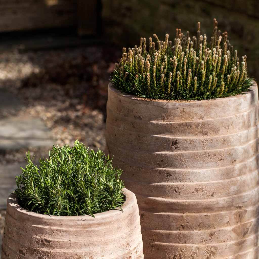 Ipanema Planter, Tall, Antico Terra Cotta