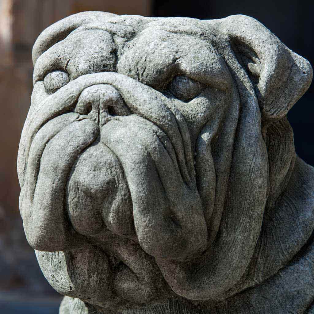 Statua Bulldog In Pietra Per Giardino - Ornamento Da Esterno - Senza Marca