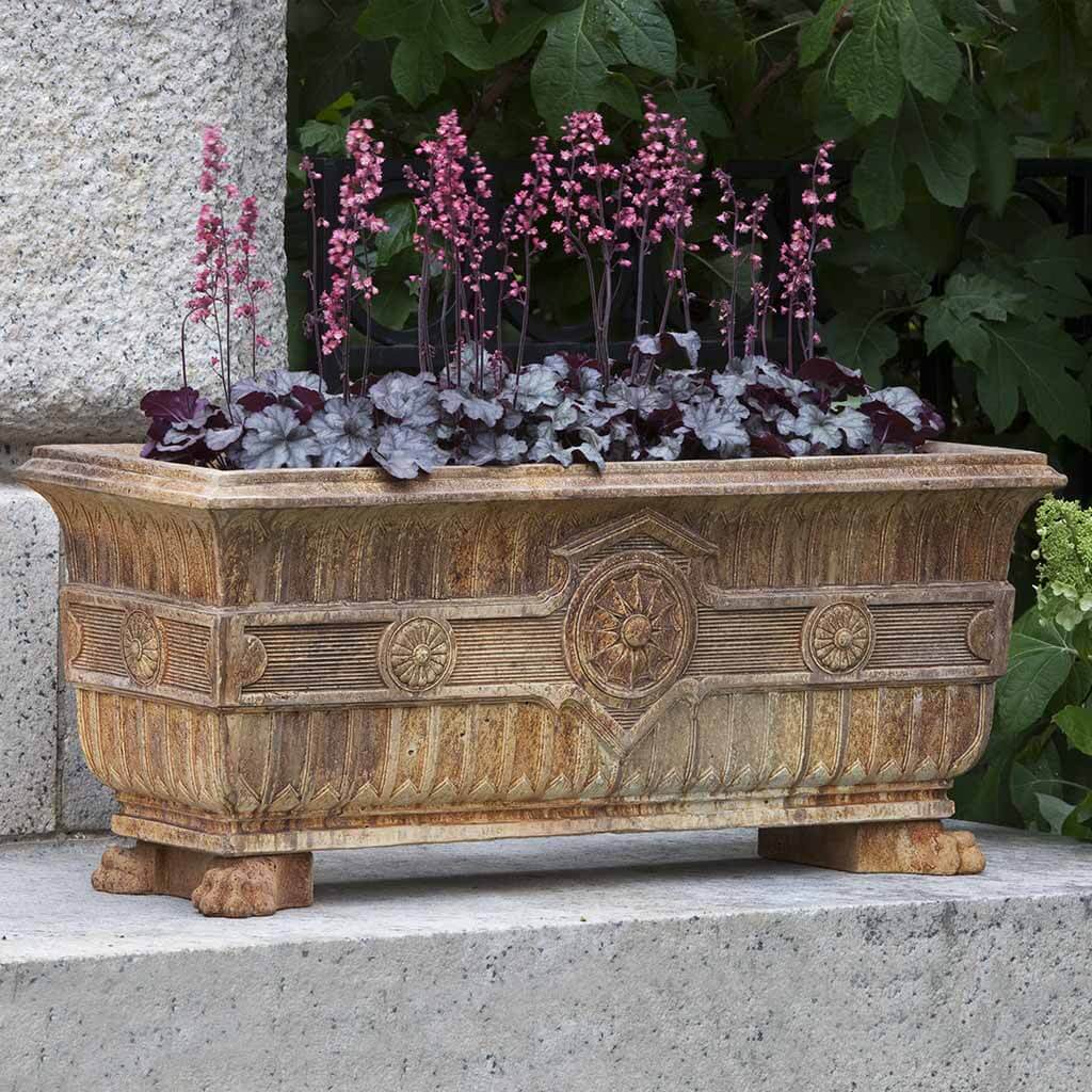 Smithsonian Eastlake Fern Box | shop-campania