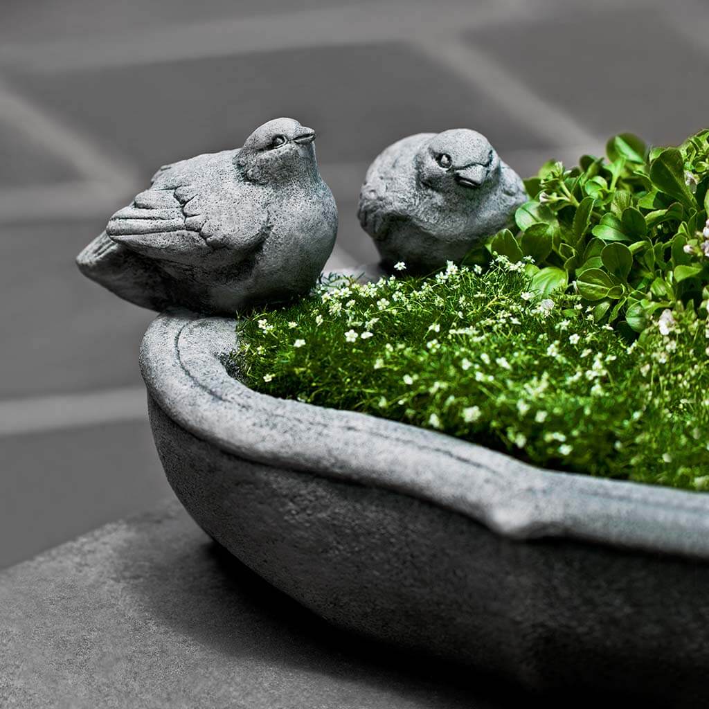 aneth planter Alouette Planter