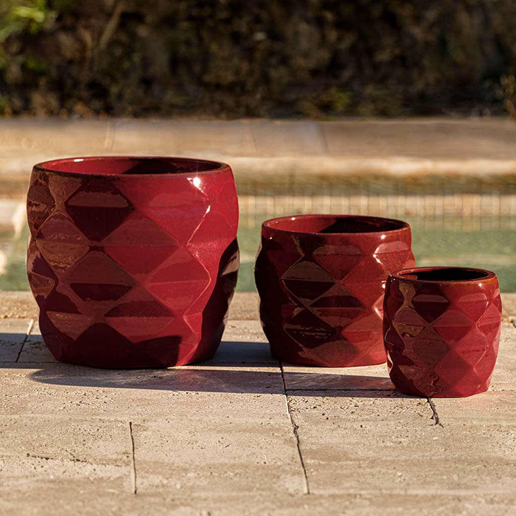 Origami Planter || Tropic Red