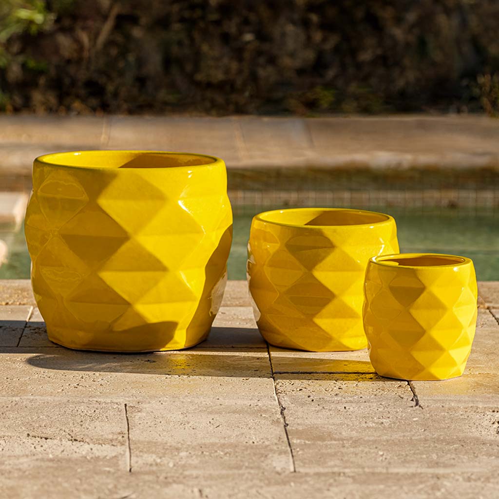 Origami Planter || Limon