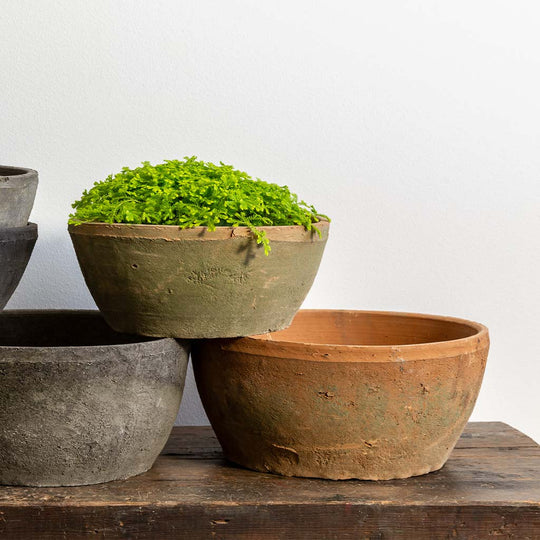 Farmer's Pot Bowl || Mixed