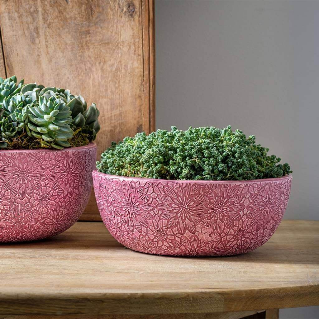 Chrysanthemum Bowl || Rose Pink