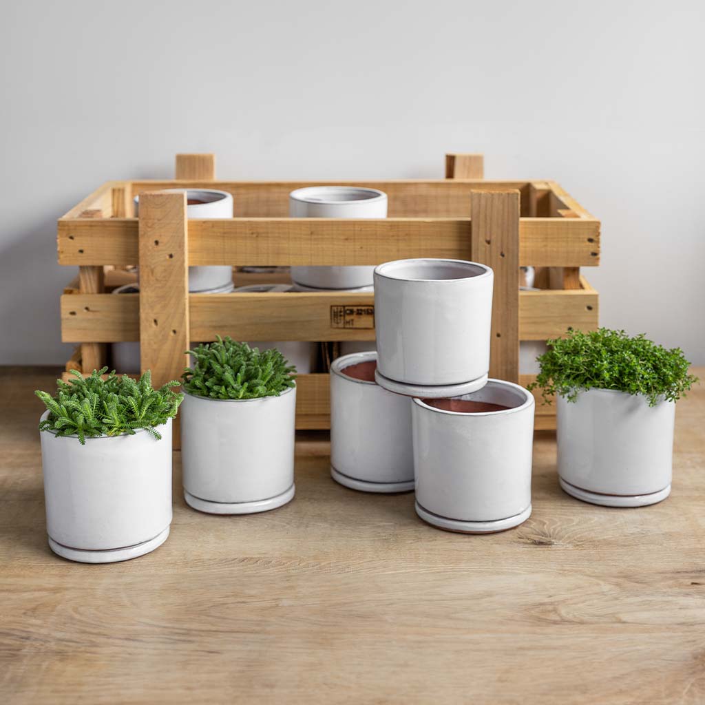 Small Cylinder Crate || White