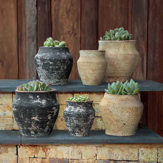 Vicolo Urn Collection || Assorted Vicolo