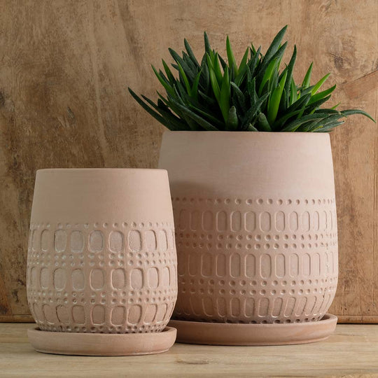 Mojave Planter || Shell