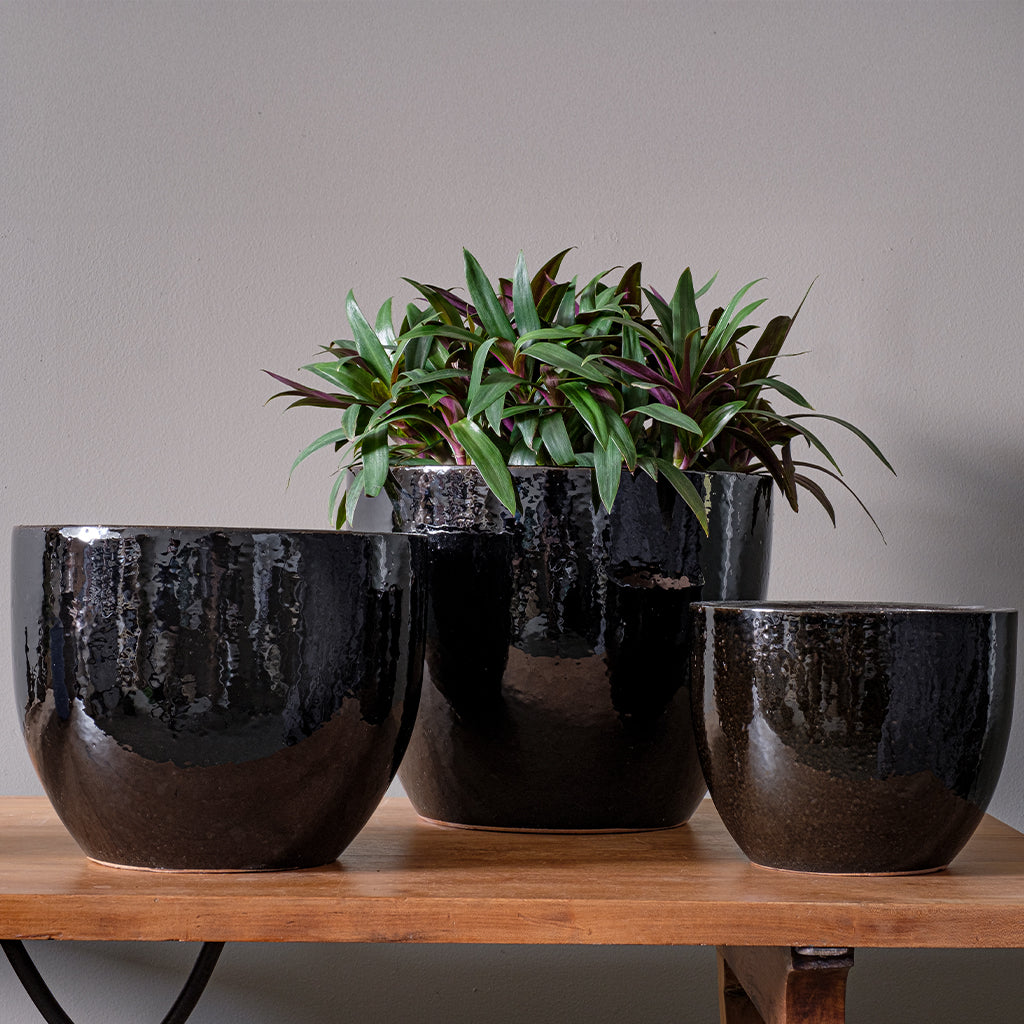 Emmett Planter || Shiny Black
