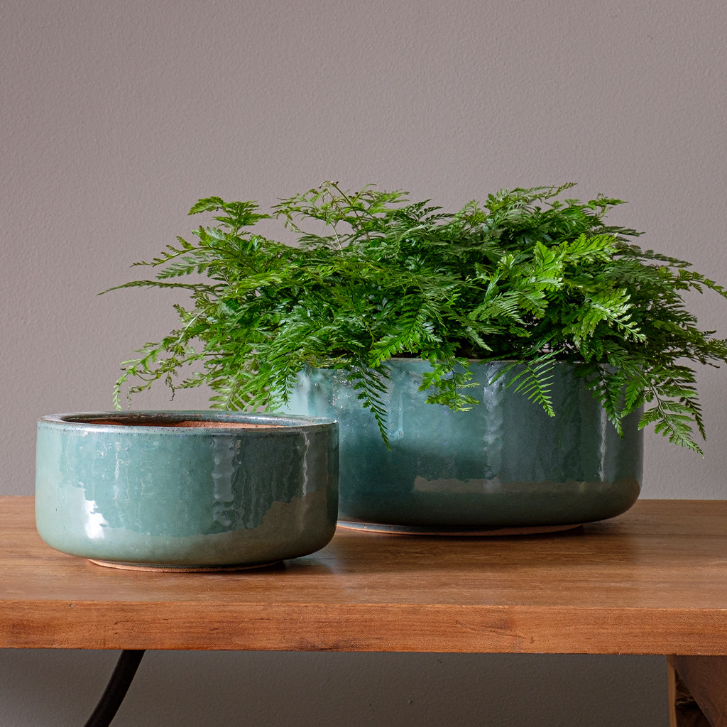 Elke Planter || Sea Green
