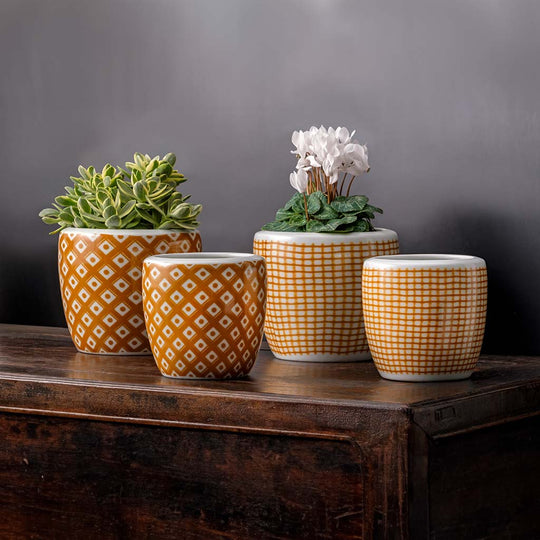 Parquet & Tattersall Planter || Harvest Gold & White