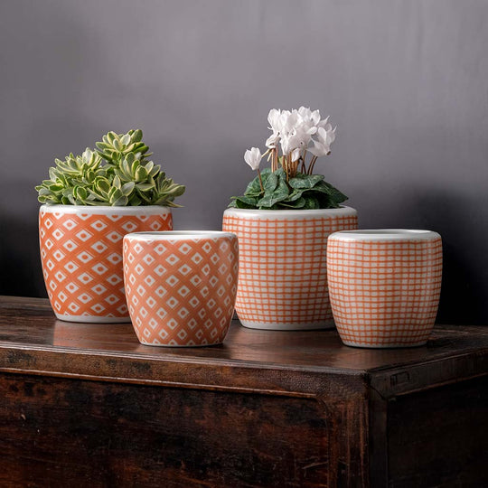 Parquet & Tattersall Planter || Peach & White