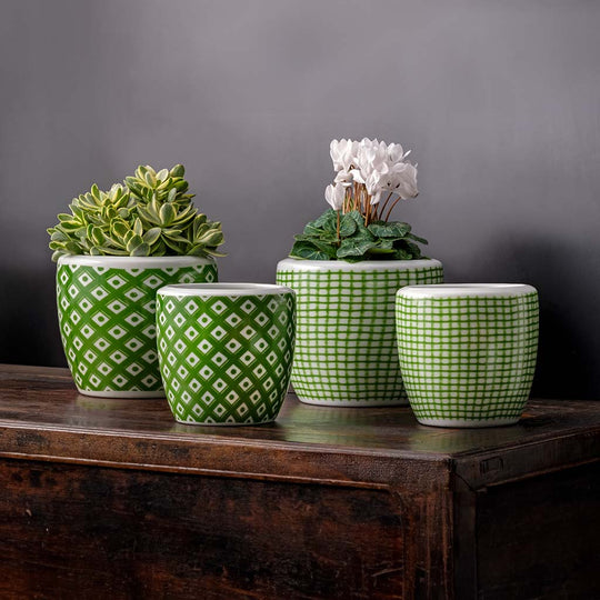 Parquet & Tattersall Planter || Clover & White