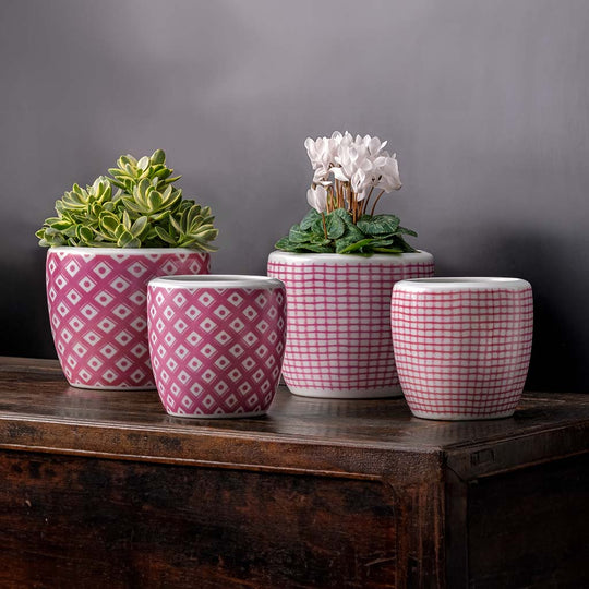 Parquet & Tattersall Planter || Dusty Rose & White