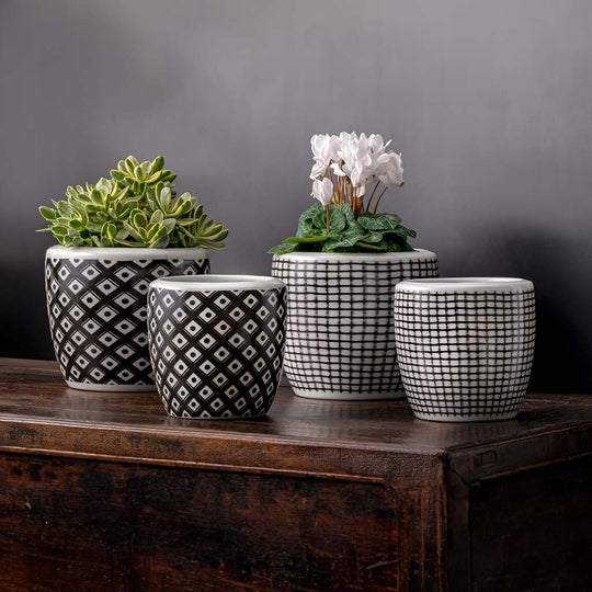 Parquet & Tattersall Planter || Black & White