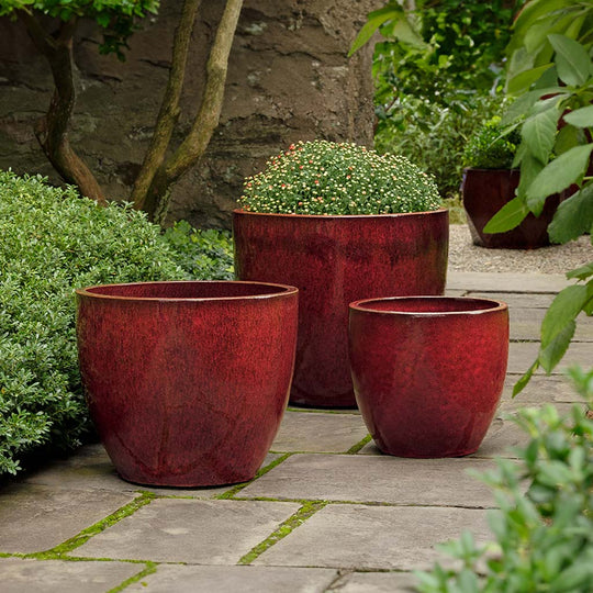 Rafi Planter || Barolo