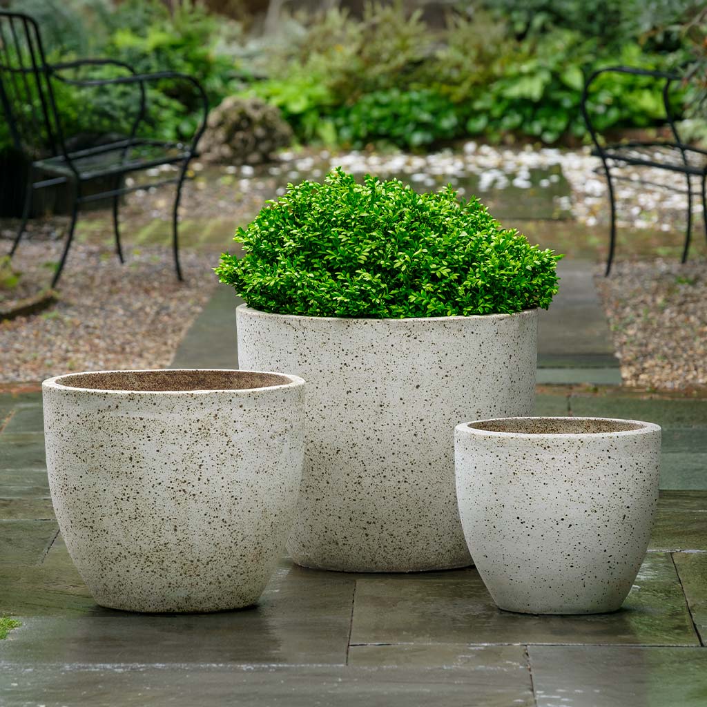 Rafi Planter || Vanilla Bean