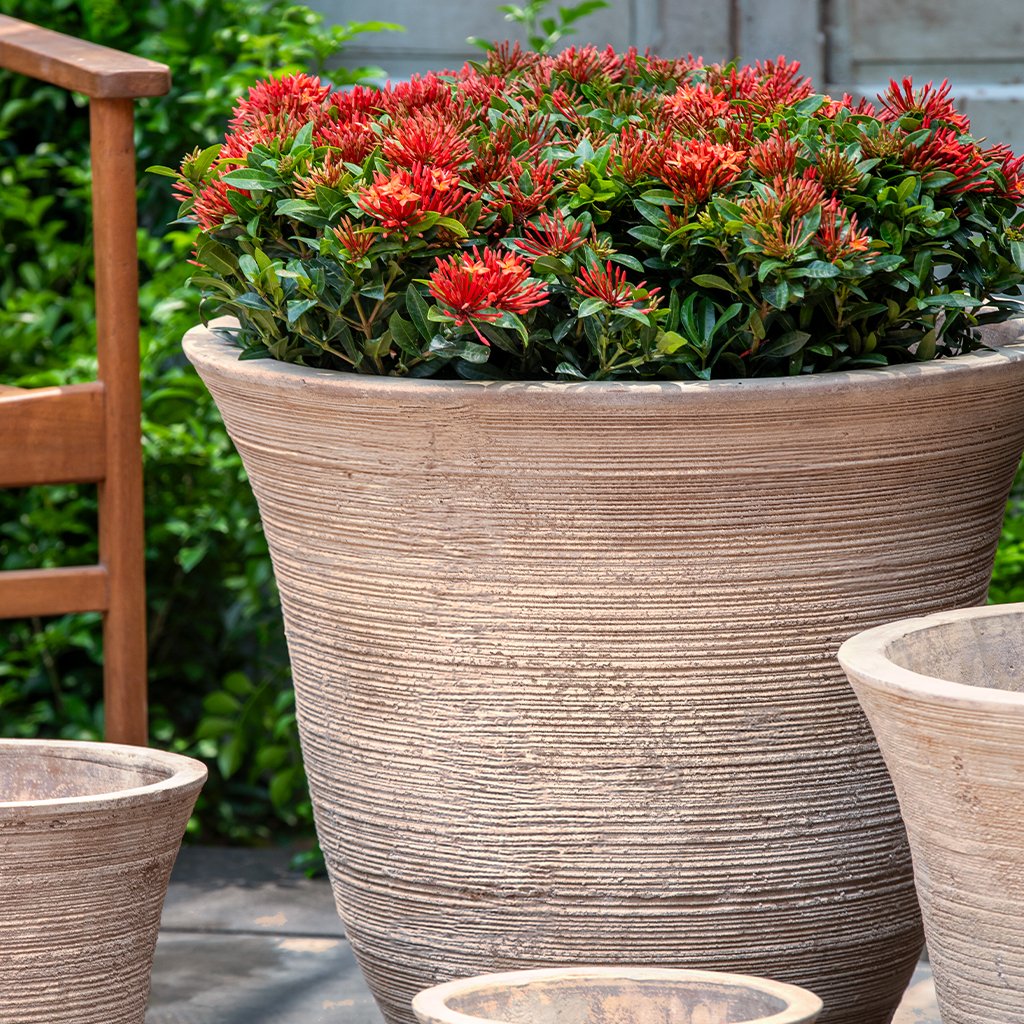 Lapo Planter || Antico Terra Cotta