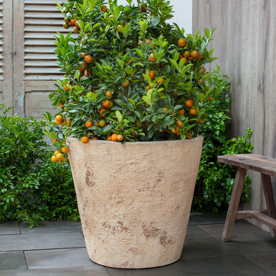 Catena Planter 20" || Antico Terra Cotta