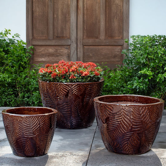 Tropicale Planter || Cognac