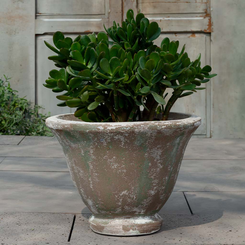 Jacqueline Urn || Murano Fresco
