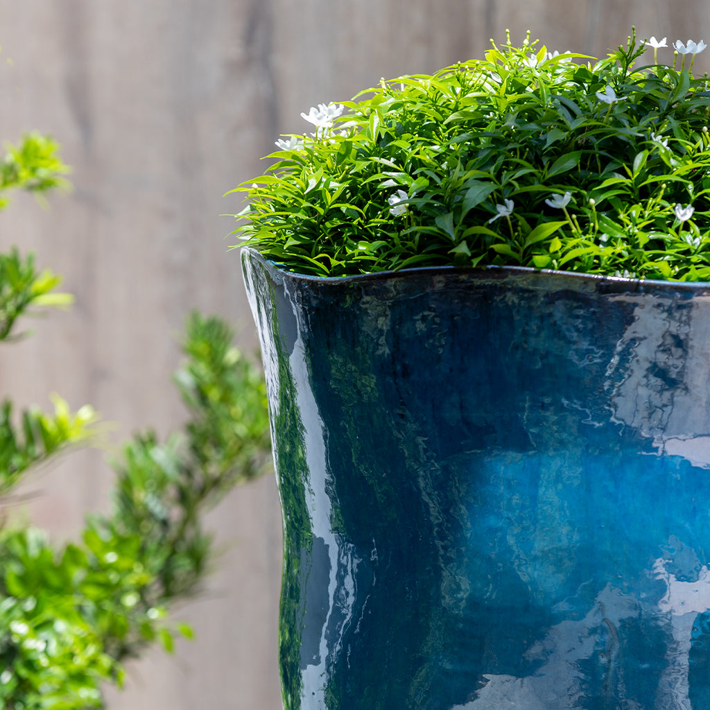 Foxglove Planter, Tall || Mediterranean