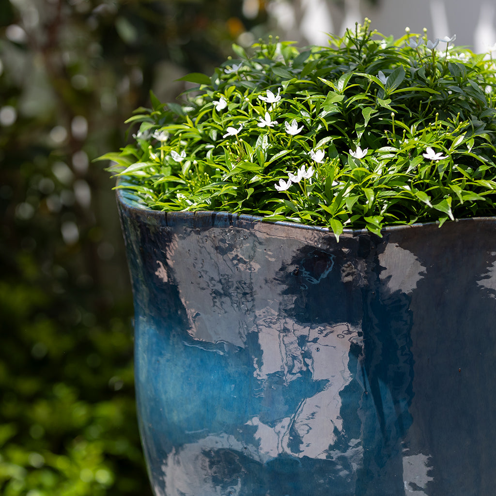 Foxglove Planter, Tall || Mediterranean