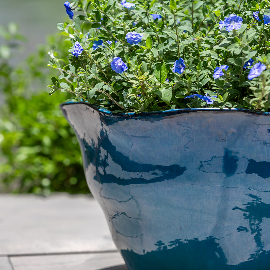 Foxglove Planter, Low || Antique Jade