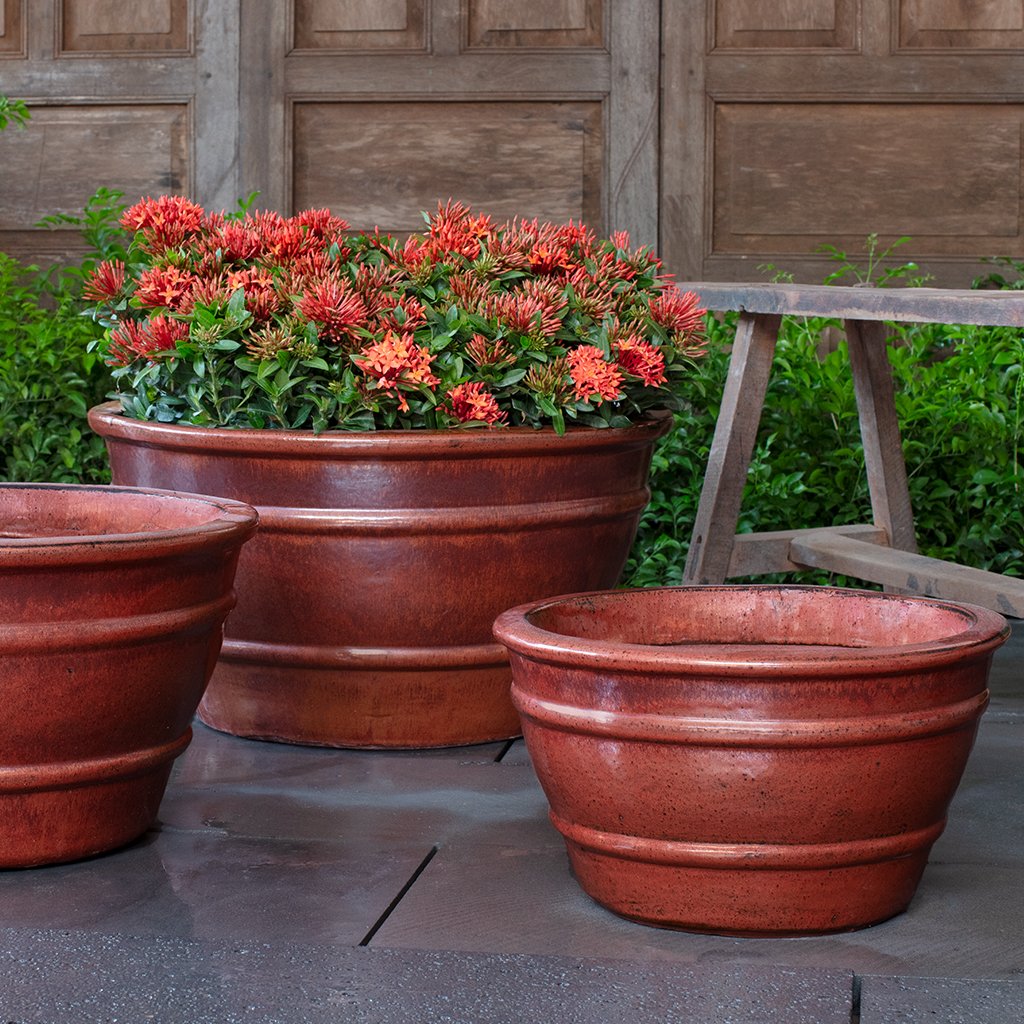 Mera Planter || Brunello