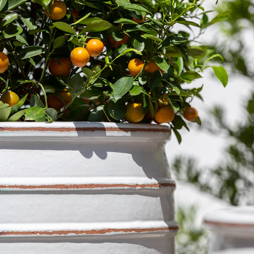 Vari Planter || Antique White