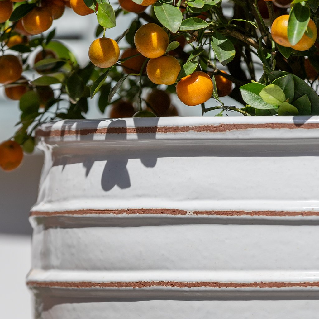 Vari Planter || Antique White