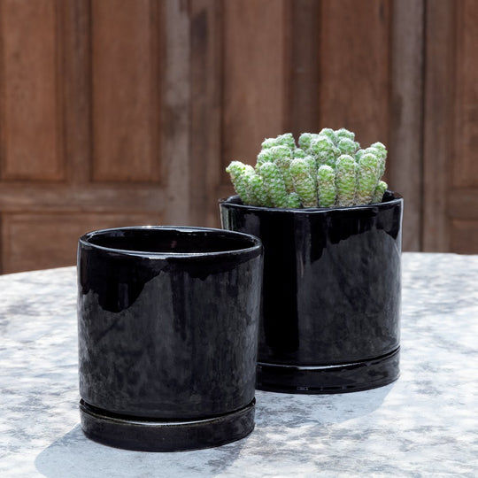 Avon Planter || Obsidian