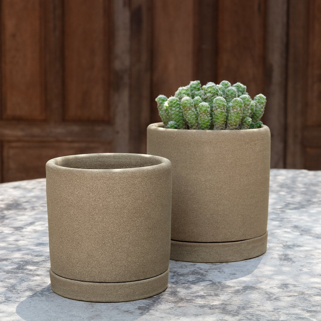 Avon Planter || Dune