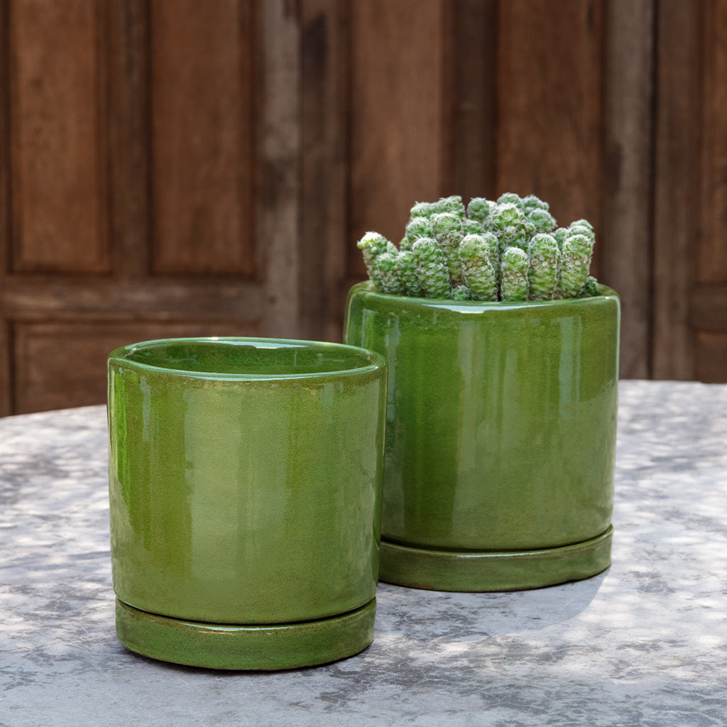 Avon Planter, Small || Erin Green