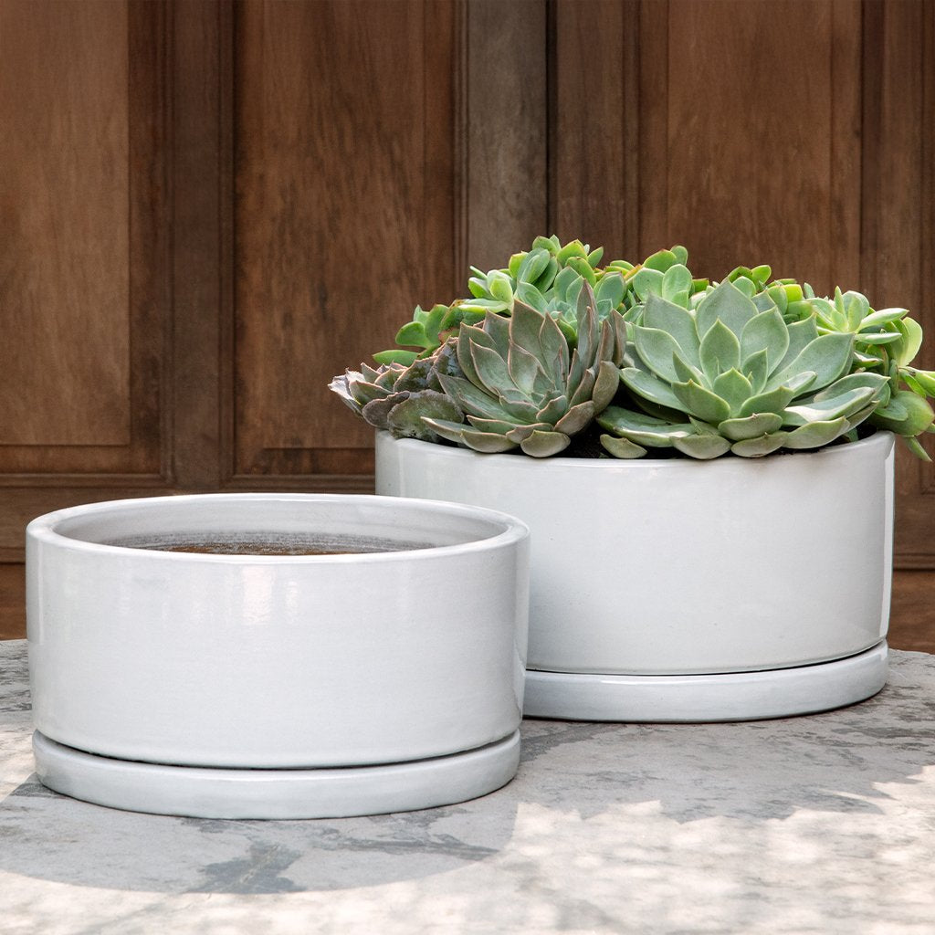 Ardleigh Planter || Antique White