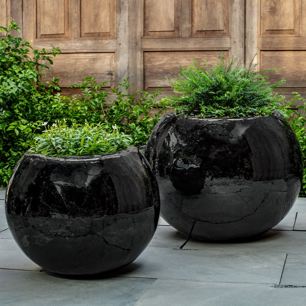 Le Monde Planter || Obsidian