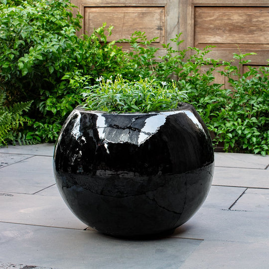 Le Petit Monde Planter || Obsidian