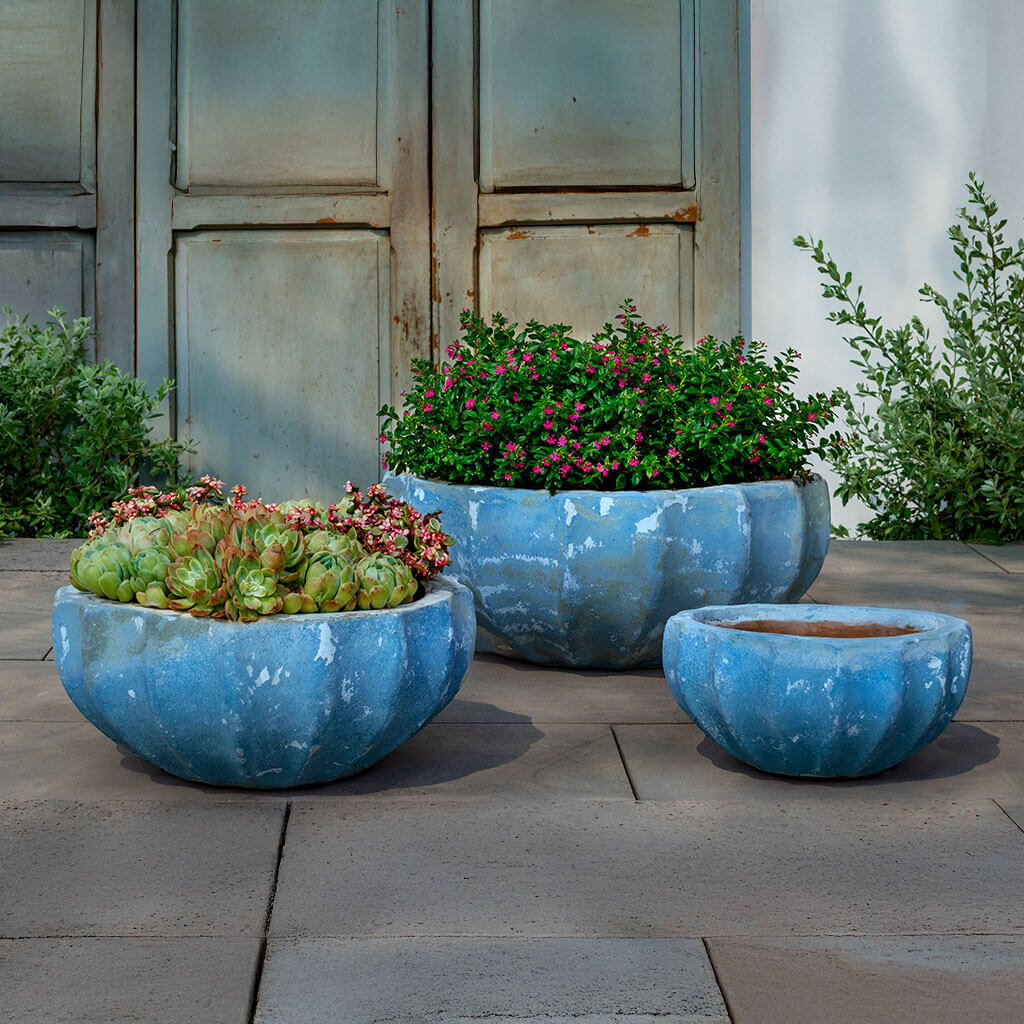 Paraeus Bowl || Murano Cielo