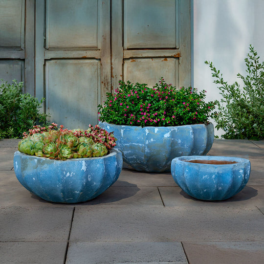 Paraeus Bowl || Murano Cielo