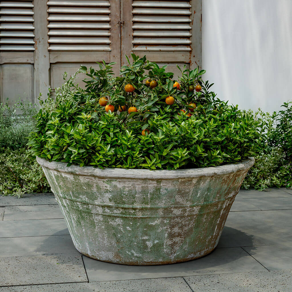 Venise Planter || Murano Fresco